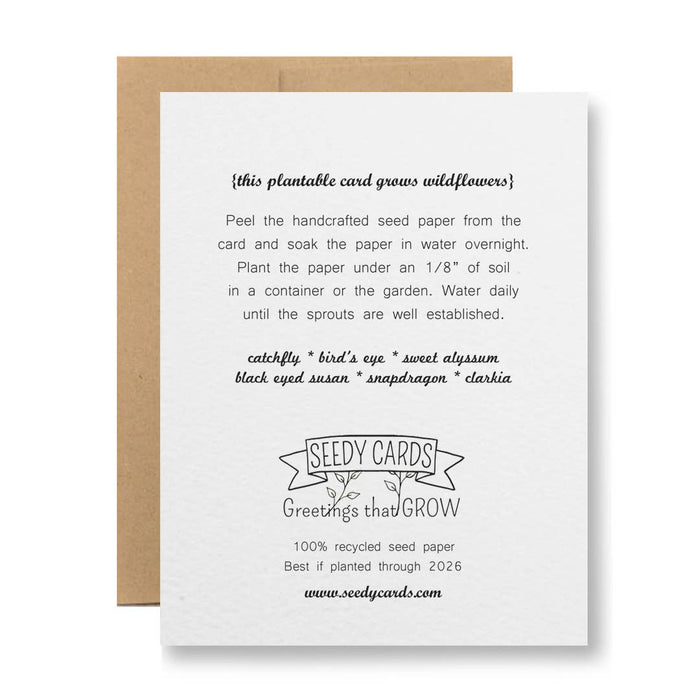 Seedy Cards - Plantable Seed Paper Greeting Card - Always & Forever