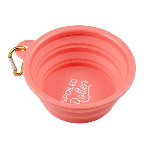 Santa Barbara Design Studio by Creative Brands - Collapsible Bowl - Spoiled Rotten