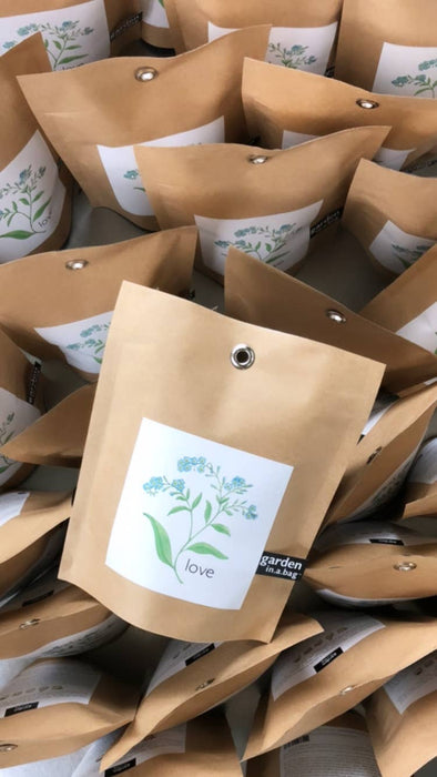 Potting Shed Creations, Ltd. - Garden in a Bag | Love - Forget Me Nots | Mother's Day