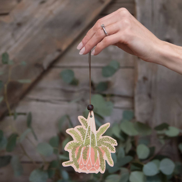 Studio Oh! - Hanging Fern Car Air Freshener