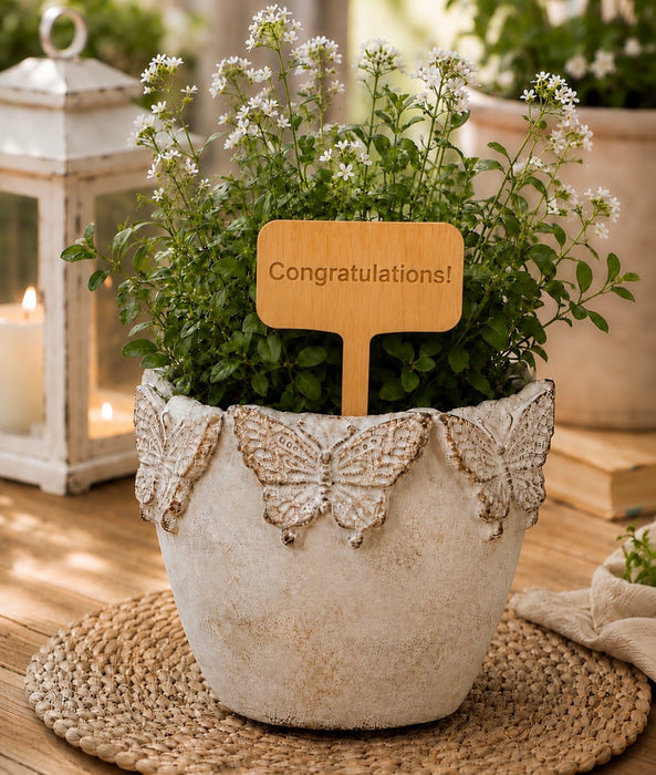 Funny and Sentimental Engraved Bamboo Plant Stakes – Gift for Plant Lovers