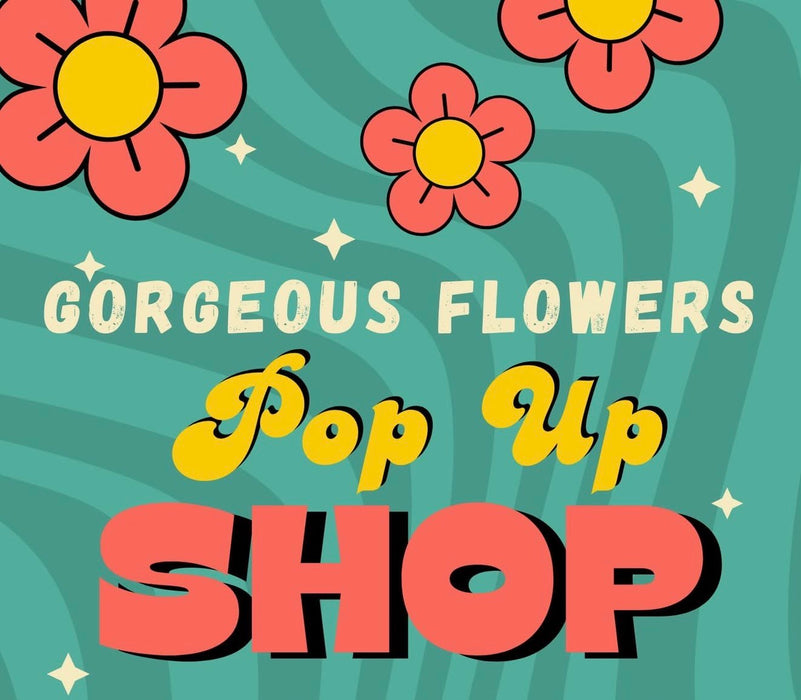 GALENTINE'S DAY PARTY! YOU ARE INVITED!!