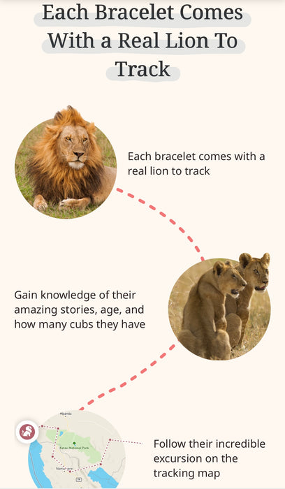 fahlo Lion Tracking Bracelet