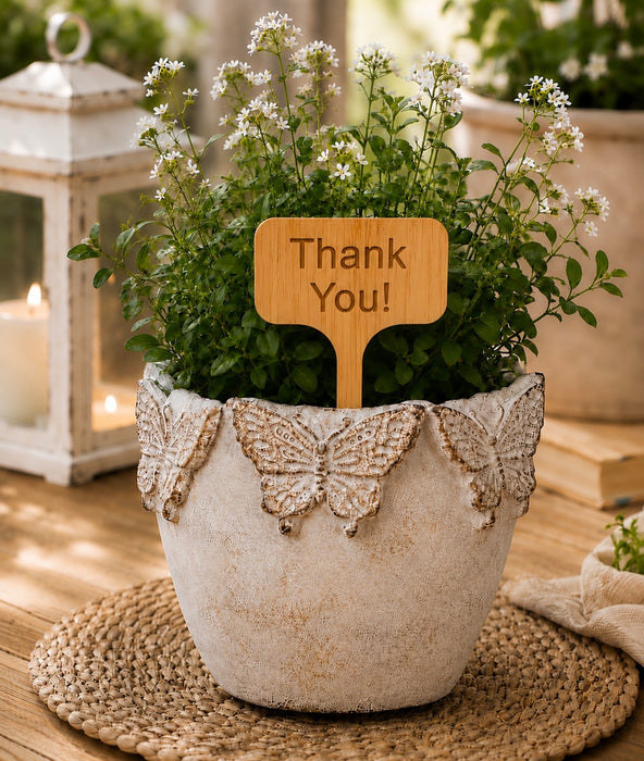 Funny and Sentimental Engraved Bamboo Plant Stakes – Gift for Plant Lovers