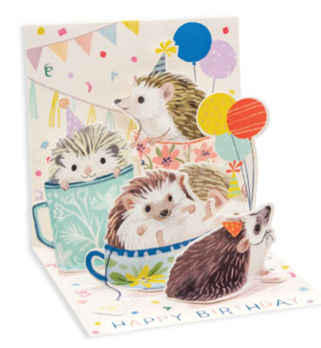 Up with Paper Pop-Up Cards Hedgehog (Trinkets)