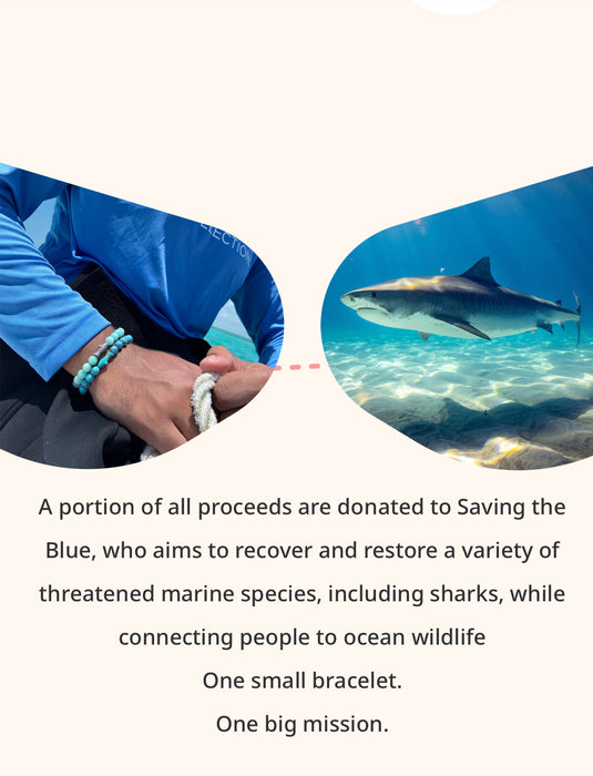 fahlo Shark Tracking Bracelet