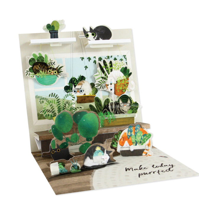 Up with Paper Pop-Up Card Cats in Plants