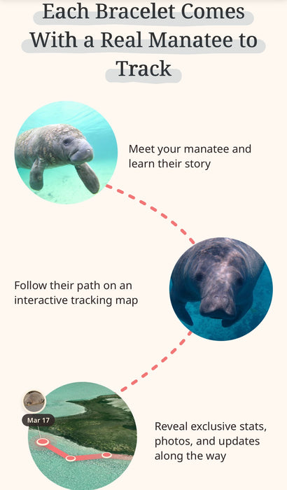 fahlo Manatee Tracking Bracelet