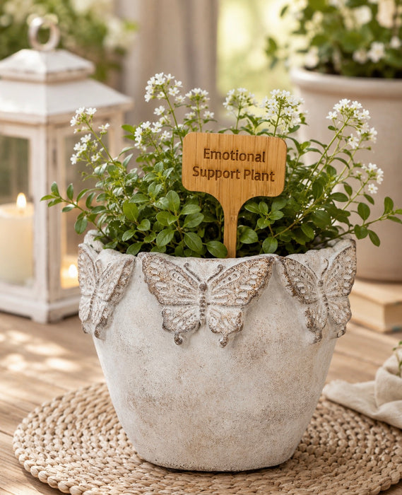 Funny and Sentimental Engraved Bamboo Plant Stakes – Gift for Plant Lovers