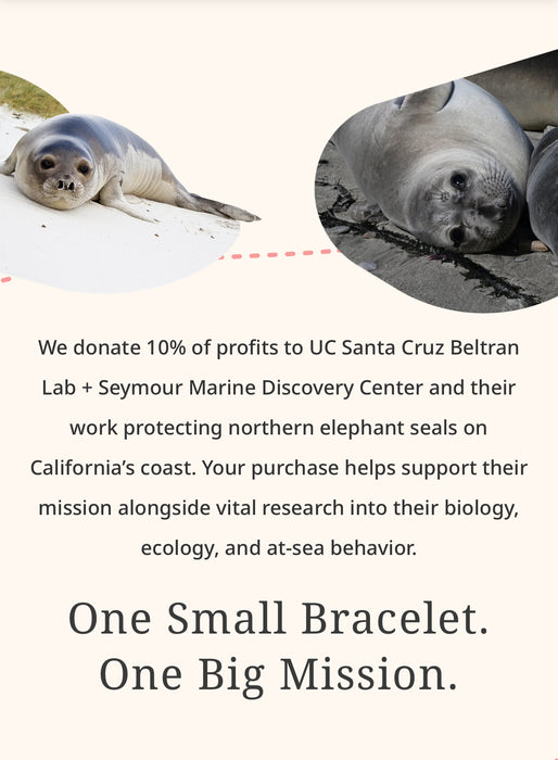 fahlo seal tracking bracelet