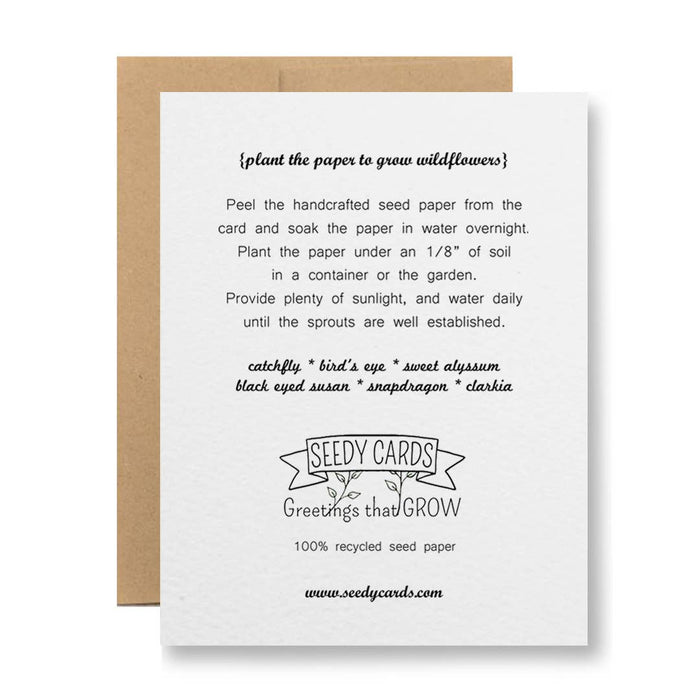 Seedy Cards - Plantable Seed Paper Greeting Card - Happy Birthday