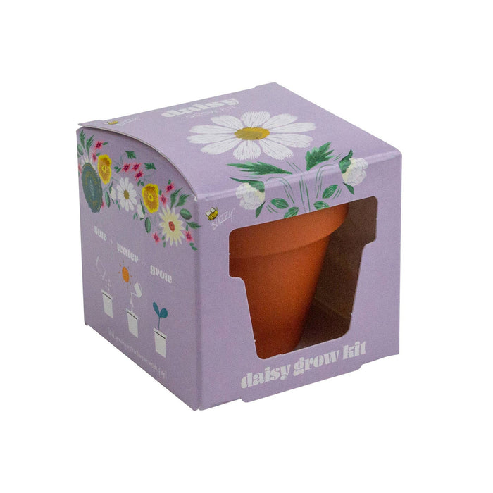Buzzy Seeds Grow Gifts - Mini Grow Pot Daisy Kit | Indoor Grow Kit | Gardening Gift