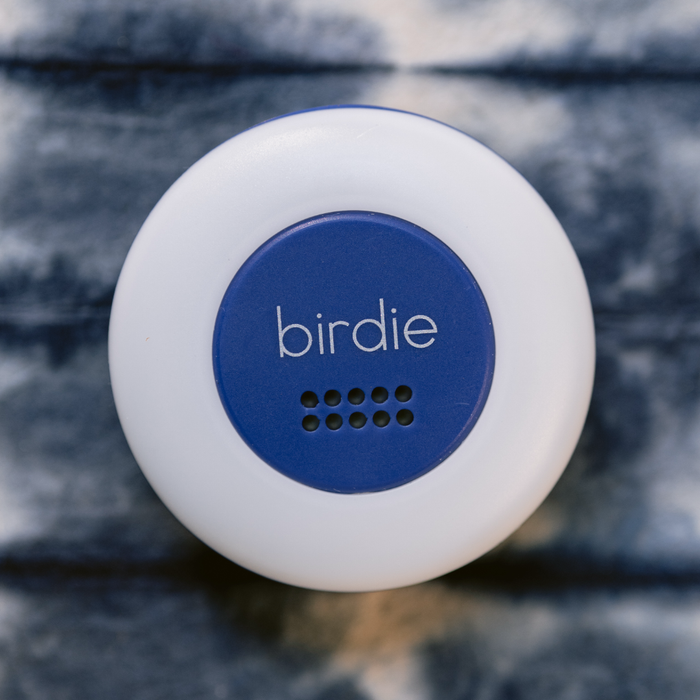 She's Birdie - Birdie Disc