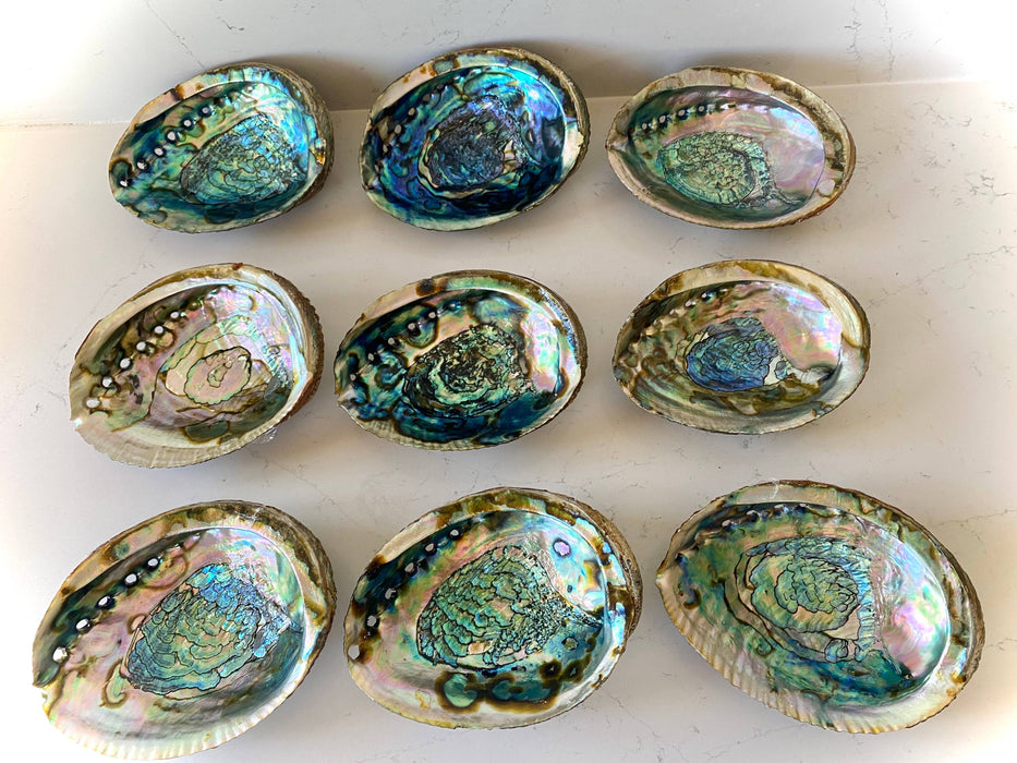 Faiza Naturals Abalone Shell Smudge Bowls-Medium