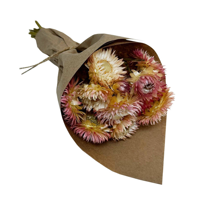 Andaluca - MINI Strawflower Bundle: Pink #172