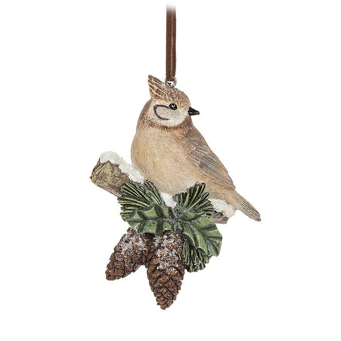 Abbott - Critter on Pinecone Ornament-3 Assorted-2.5"H-472