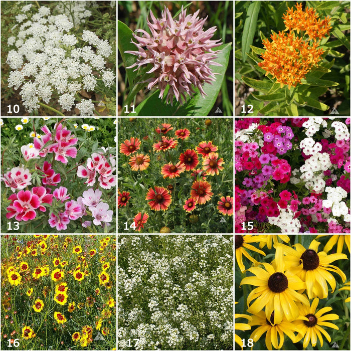 Potting Shed Creations, Ltd. - Scatter Garden | Butterfly Habitat | Best Seller