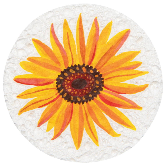 Now Designs by Danica - Autumn Bounty Sponge Counter Display - 24 Assorted
