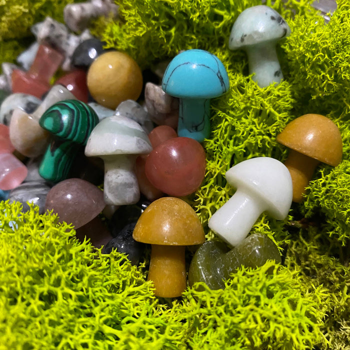 Wax Apothecary - 🍄 Crystal Mini Mushroom Stone Assortment 🍄