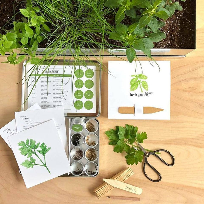 Potting Shed Creations, Ltd. - Garden Maker Culinary Herbs | Best Seller | Spring Kitchen 