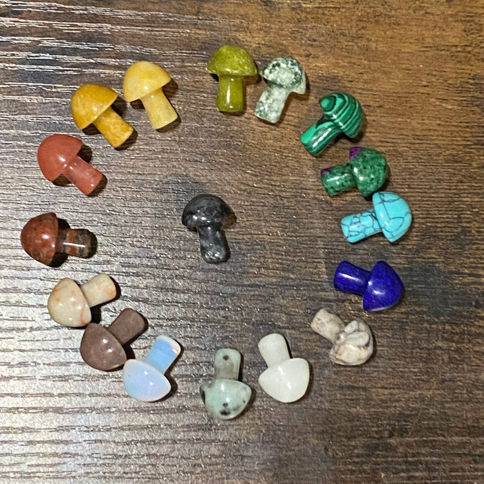 Wax Apothecary - 🍄 Crystal Mini Mushroom Stone Assortment 🍄
