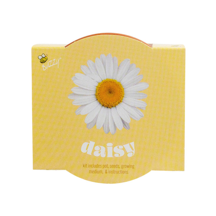 Buzzy, Inc. - Buzzy Seeds Classic (7cm) Terra Cotta Grow Kit - Daisy