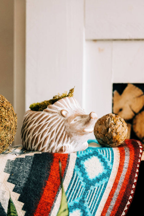 Ten Thousand Villages  Hedgehog Planter