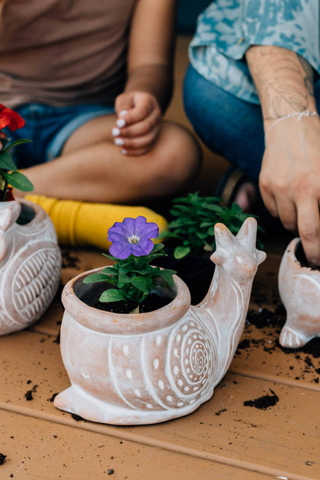 Ten Thousand Villages Snail Planter