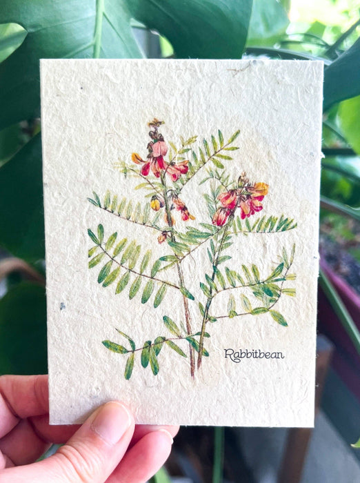 Marissa Kay Apothecary - Plantable Seed Card || Rabbitbean || Supports Women