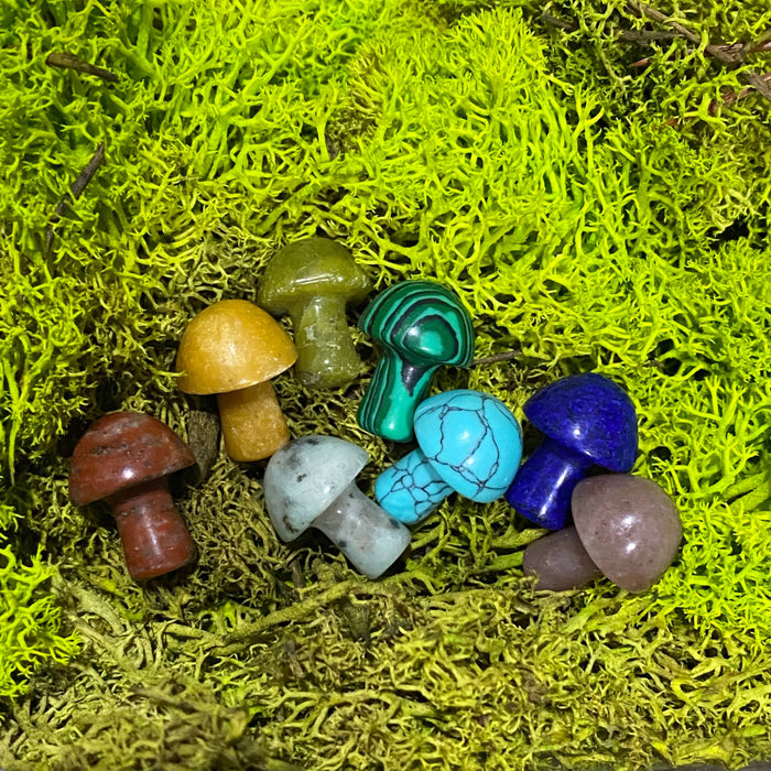 Wax Apothecary - 🍄 Crystal Mini Mushroom Stone Assortment 🍄