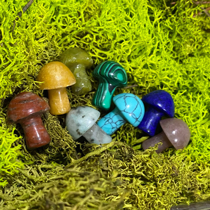 Wax Apothecary - 🍄 Crystal Mini Mushroom Stone Assortment 🍄