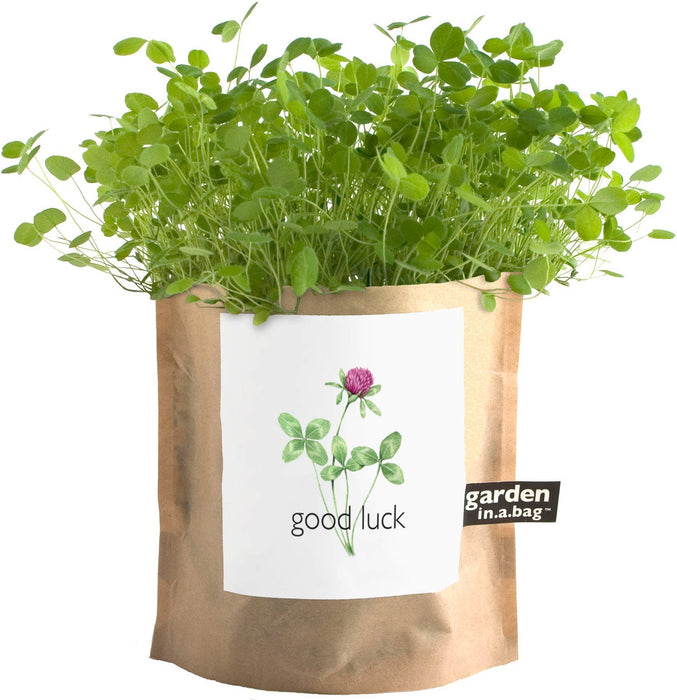 Potting Shed Creations, Ltd. - Garden Sprinkles | Good Luck Clover | St Patrick's Day