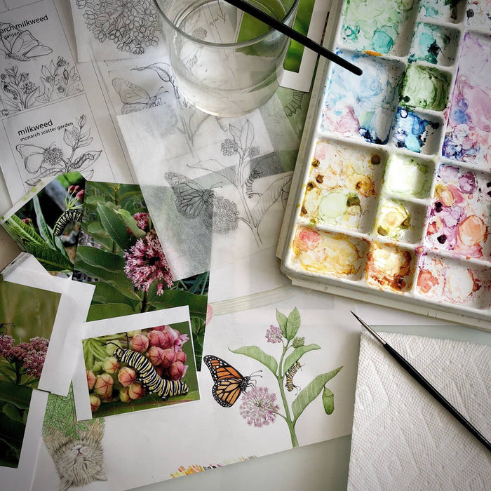 Potting Shed Creations, Ltd. - Garden Sprinkles | Monarch Milkweed & Flower Garden | Spring