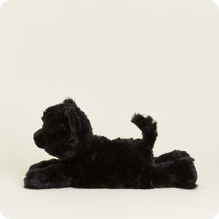 Warmies - Lavender Scented Plush - Gifts - Summer Market - Black Cat Warmies