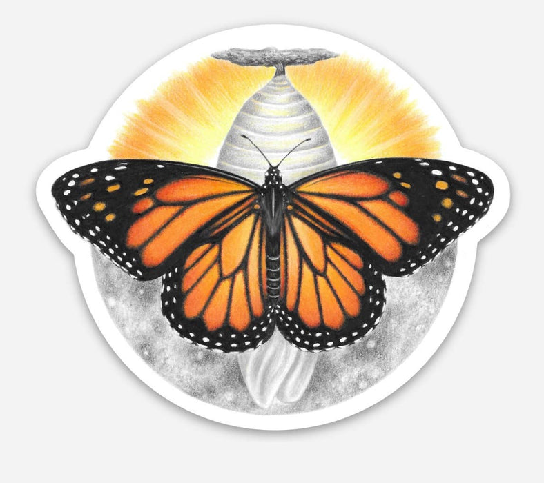 Abundance Illustration - Monarch butterfly and chrysalis sticker