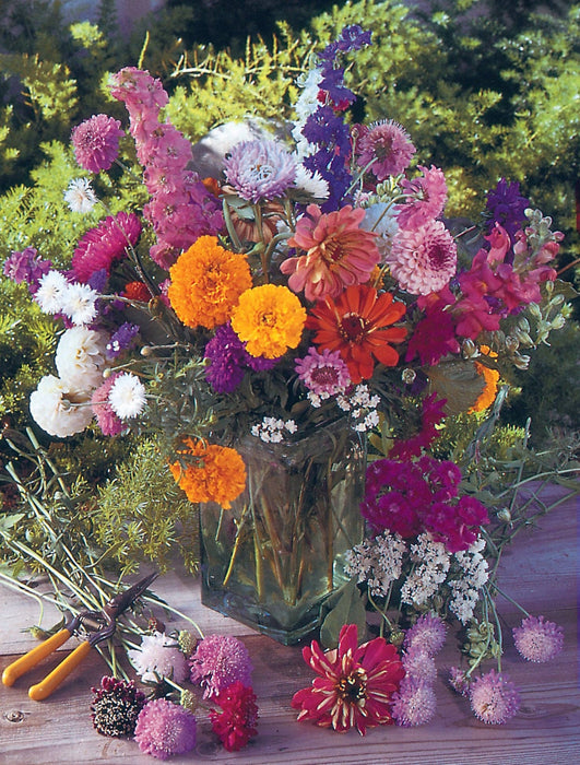 Bentley Seed Co. - Thank You Butterfly Pollinator - Pollinator Flower Mix Seed Packets