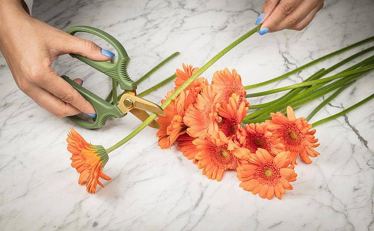 Abbott - Short Blade Floral Snips-6.5"L