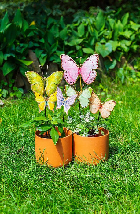 Abbott - Small Butterfly Plant Stake-4 Assorted-10" H