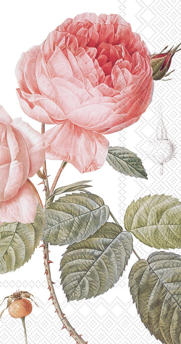 Boston International - Pocket Tissues Pack of 10 Elisabeth