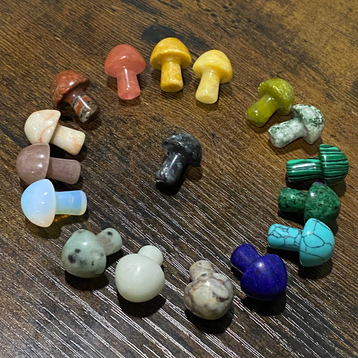 Wax Apothecary - 🍄 Crystal Mini Mushroom Stone Assortment 🍄