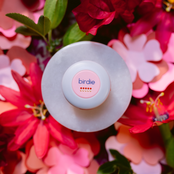 She's Birdie - Birdie Disc