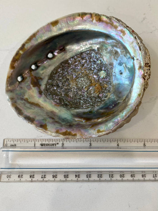 Faiza Naturals Abalone Shell Smudge Bowls-Medium