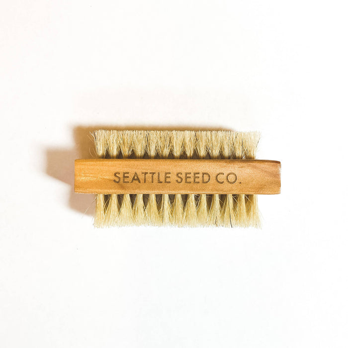 Seattle Seed Co. Vegetable and Nail Brush